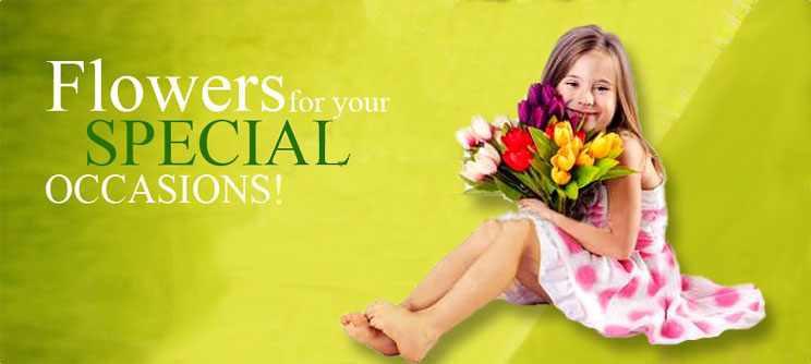 Baby Flowers Banner