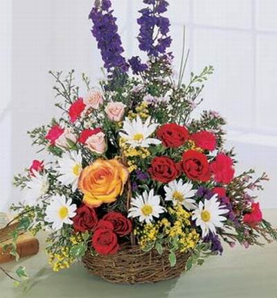 6 red, 6 pink, 1 orange Rose, 6 red Carnations, white Chrysanthemums and Stock in basket