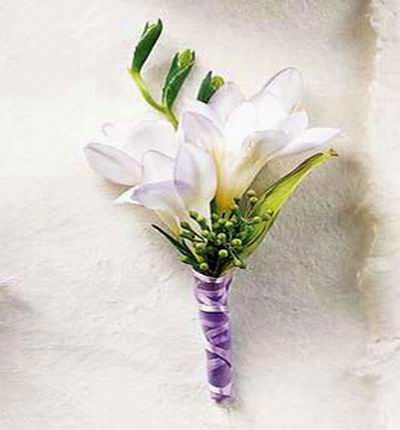 two white freesias