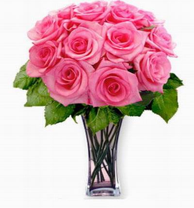 12 pink Roses