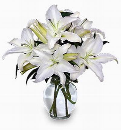 4 white liliy stems