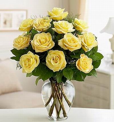 12 yellow Roses