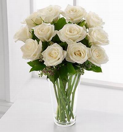 12 white Roses