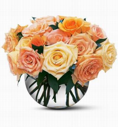 12 light pastel color Roses.