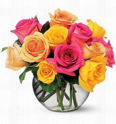 12 dark pastel color Roses.