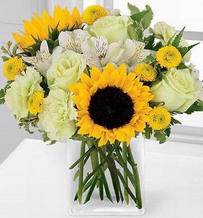 2 Sunflowers, 3 white Roses, 3 white pistachio Carnations, 5 Alstromerias and yellow button poms.