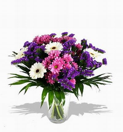 Pink Chrysanthemums, 5 white Daisies and purple Larkspurs.