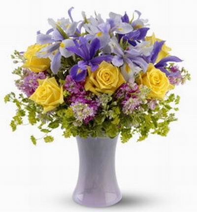 6 yellow Roses, purple and white Iris with green fillers.