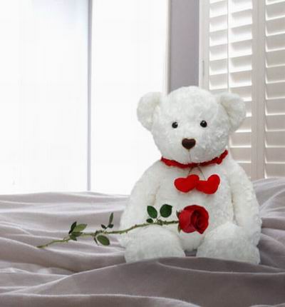 1 single unwrapped Rose with a 20cm Teddy bear. Teddy bears may vary based on availability.