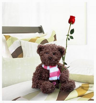 1 single unwrapped Rose with a 20cm Teddy bear. Teddy bears may vary based on availability.